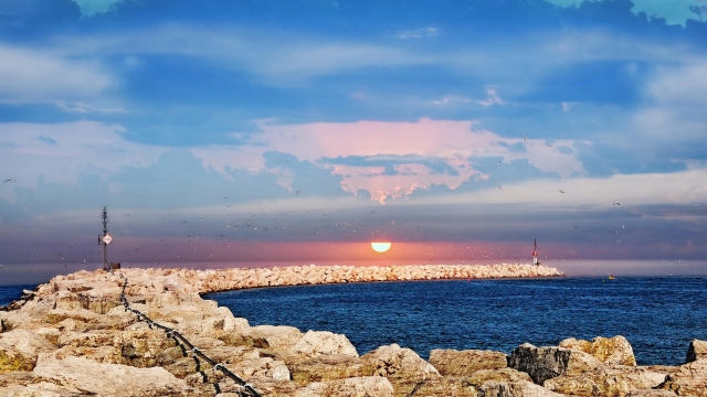 必赢公司：园林绿化属于什么用水