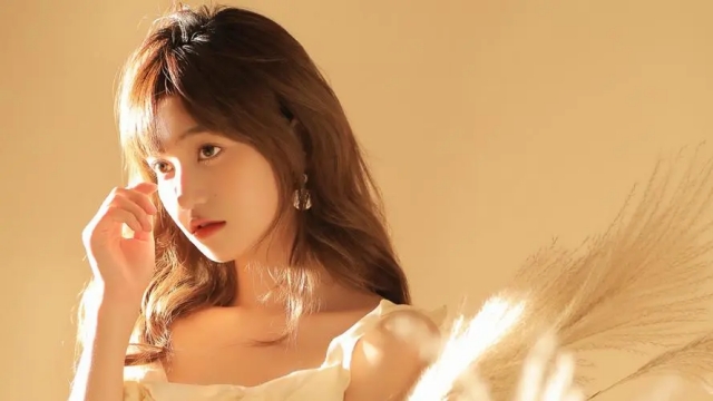 bwin必赢：园林绿化铁树