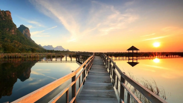 bwin必赢：园林绿化带规格