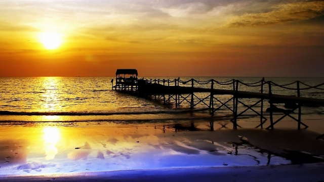 bwin必赢集团：园林绿化竹苗需求