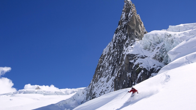 bwin必赢公司：园林绿化绿篱养护