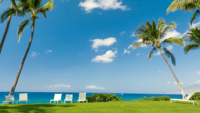 园林绿化攀绿植物样