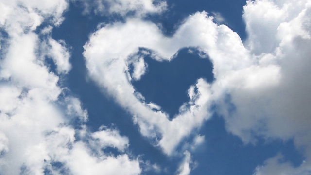 bwin必赢集团：园林绿化取水阀漏水