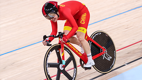 园林绿化栅栏定制