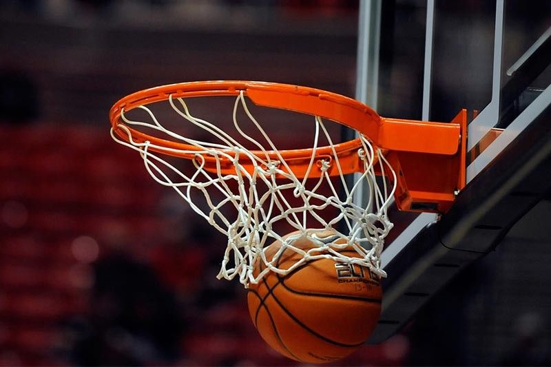 bwin必赢：园林绿化治白蚁