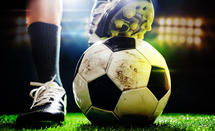 bwin必赢：园林绿化养护教材